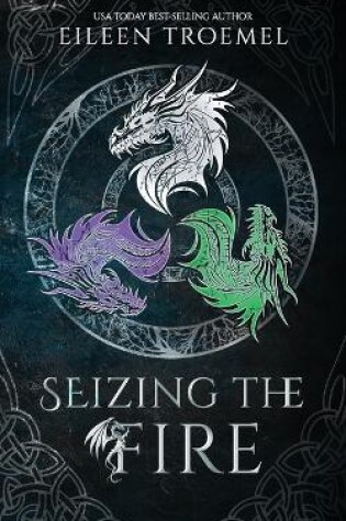 Cover of Seizing the Fire