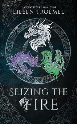 Book cover for Seizing the Fire