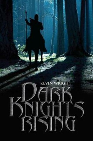 Cover of Dark Knights Rising