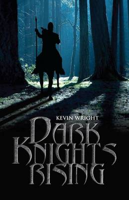 Book cover for Dark Knights Rising