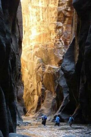 Cover of The Narrows in Zion National Park