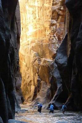 Book cover for The Narrows in Zion National Park