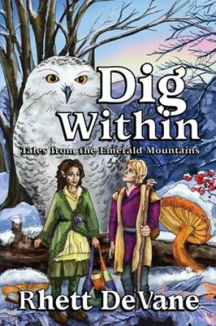 Cover of Dig Within