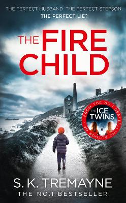 Book cover for The Fire Child