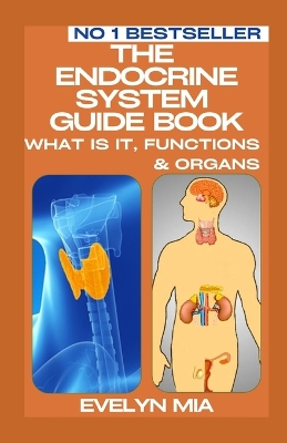 Cover of The Endocrine System Guide Book
