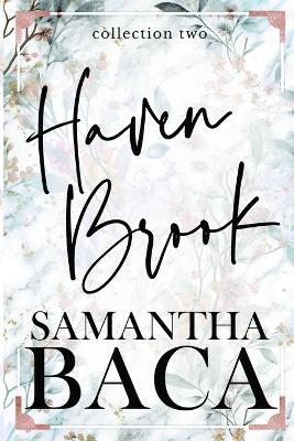 Book cover for Haven Brook Collection Two