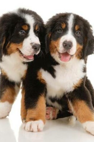 Cover of Bernese Mountain Dog Puppies, Jumbo Oversized