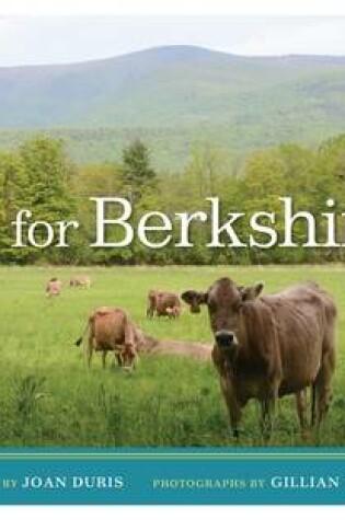 Cover of B Is for Berkshires