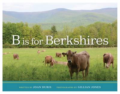 Book cover for B Is for Berkshires