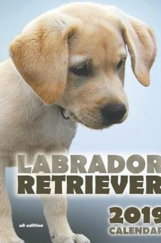 Cover of Labrador Retriever 2019 Calendar (UK Edition)