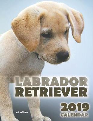 Book cover for Labrador Retriever 2019 Calendar (UK Edition)