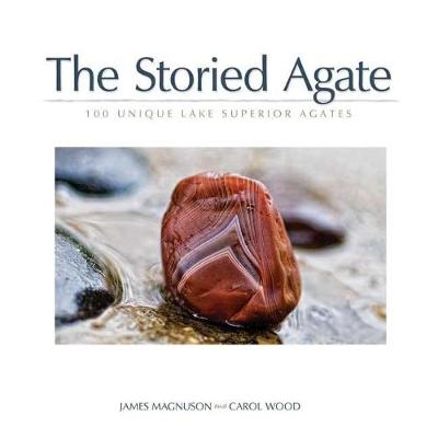 Book cover for The Storied Agate