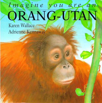 Book cover for Imagine You Are An Orang-utan