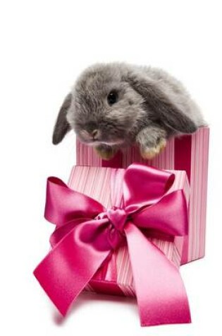 Cover of Gray Bunny with a Pink Christmas Gift Box and Bow