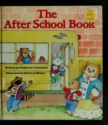 Book cover for The After School Book