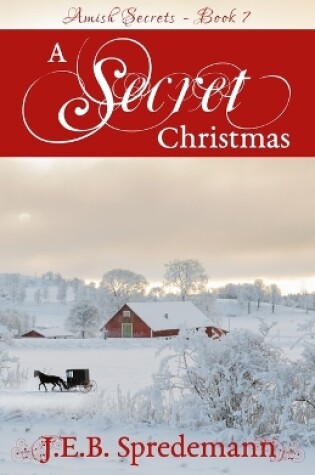 Cover of A Secret Christmas (Amish Secrets 7)