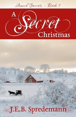 Book cover for A Secret Christmas (Amish Secrets 7)