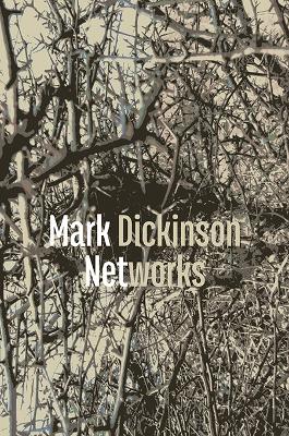 Book cover for Networks