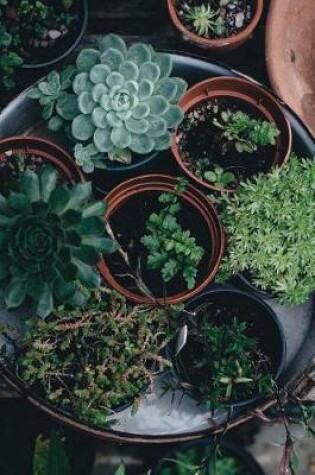 Cover of A Tray of Little Potted Plants Succulent Journal