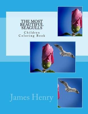 Book cover for The Most Beautiful Seagulls