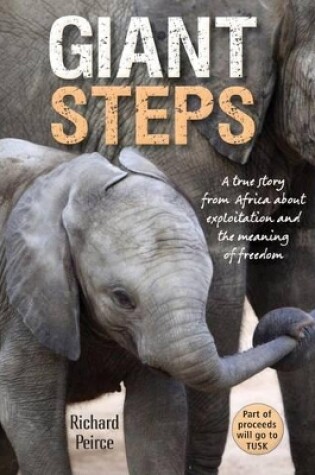 Cover of Giant steps