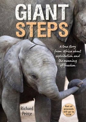 Book cover for Giant steps