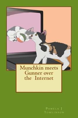 Book cover for Munchkin meets Gunner over the Internet