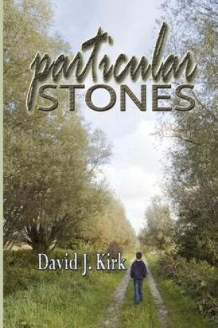 Cover of Particular Stones