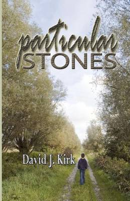 Book cover for Particular Stones