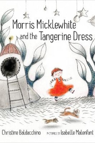 Cover of Morris Micklewhite and the Tangerine Dress