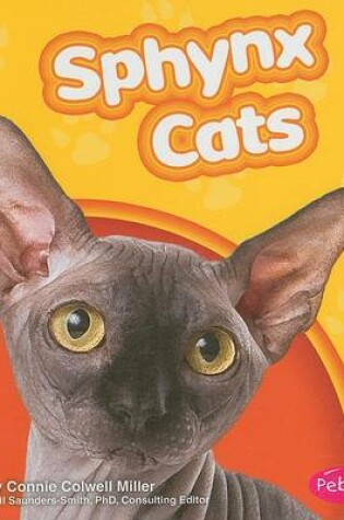 Cover of Sphynx Cats