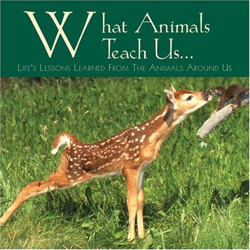 Cover of What Animals Teach Us