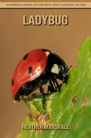 Cover of Ladybug