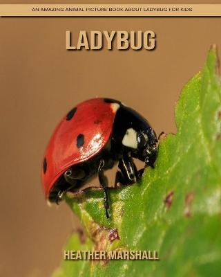 Book cover for Ladybug