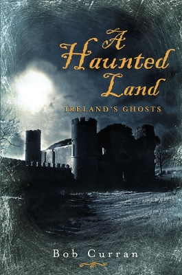 Book cover for A Haunted Land