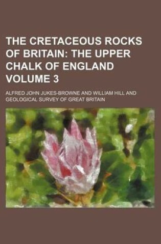 Cover of The Cretaceous Rocks of Britain Volume 3