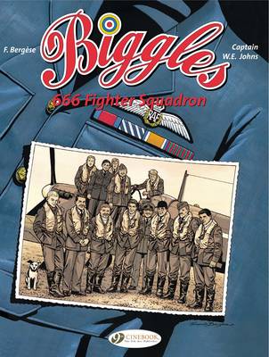 Book cover for 666 Fighter Squadron