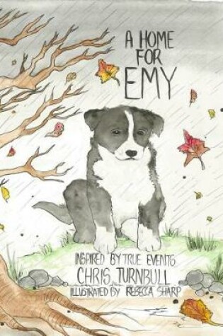 Cover of A Home For Emy