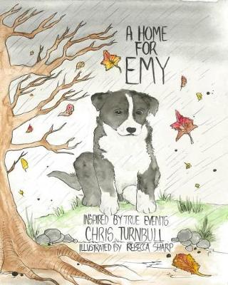 Book cover for A Home For Emy