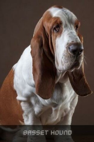 Cover of Basset Hound