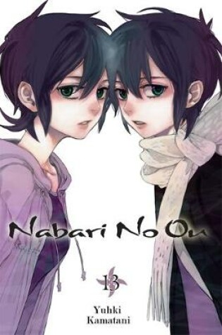 Cover of Nabari No Ou, Vol. 13