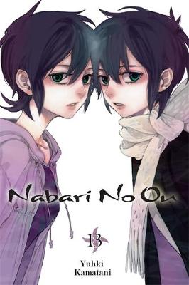 Book cover for Nabari No Ou, Vol. 13