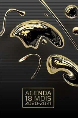 Cover of Agenda 18 Mois 2020-2021