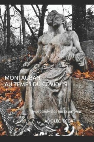 Cover of Montauban Au Temps Du Covid-19