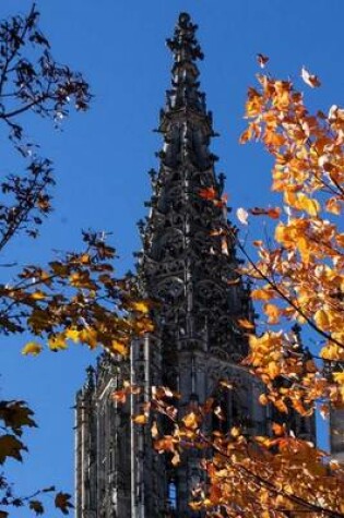 Cover of View of the Ulm Cathedral in Autumn Journal