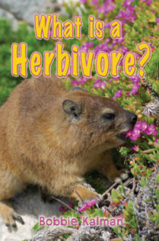 Cover of What is a Herbivore