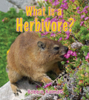 Book cover for What is a Herbivore