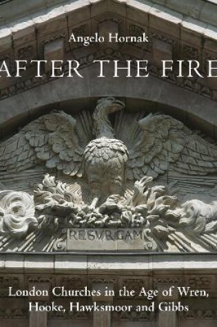 Cover of After the Fire