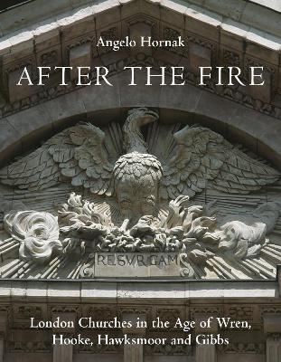 Book cover for After the Fire