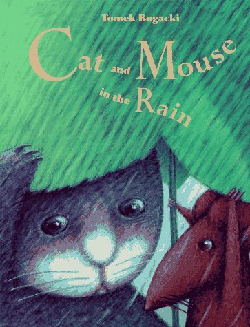 Book cover for Cat and Mouse in the Rain